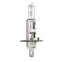 12V - 55W H1 Halogen Bulb