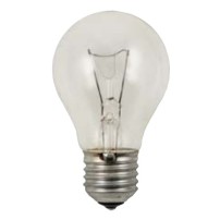 Lampadina 12V 60W Tipo Attacco E27