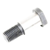 44012300 - Vite Speciale 12x37x1.25 mm