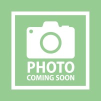10519301 - Rosetta Piana 5.45x10x1 mm