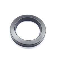4951207 - Paraolio 55x75x13 per Fiat
