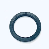 5119566 - Paraolio 75x100x10 per Fiat - New Holland
