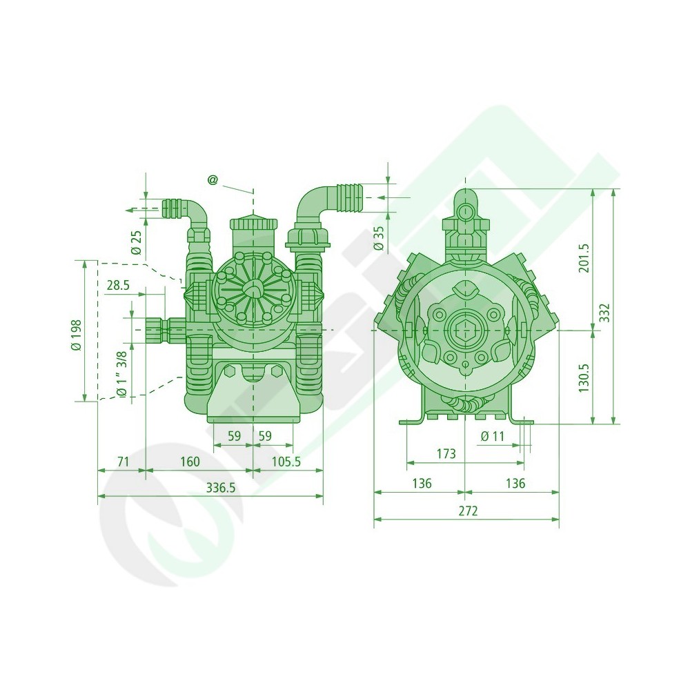 Diaphragm Pump AR 45 BP C Blue Flex | Annovi Reverberi