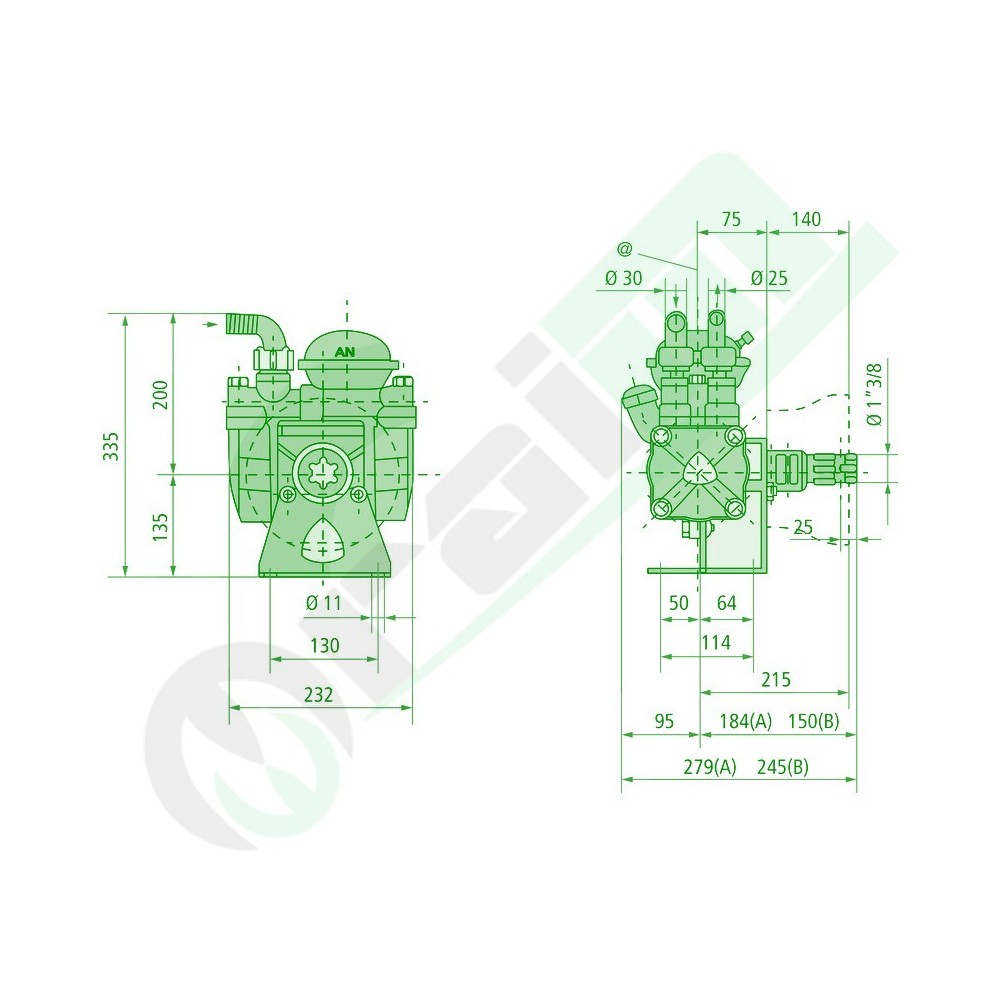 Diaphragm Pump AR 70 BP | Annovi Reverberi