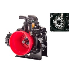 Diaphragm pump AR 160 bp C/F Ø 32 | Annovi Reverberi
