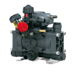 Diaphragm Pump AR 202 SP SP VRI | Annovi Reverberi