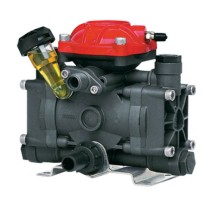 Diaphragm Pump AR 252 SP SGC | Annovi Reverberi