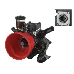 Diaphragm Pump AR 813 AP C/SP | Annovi Reverberi