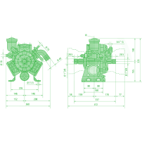 Diaphragm Pump AR 813 AP C/SP | Annovi Reverberi