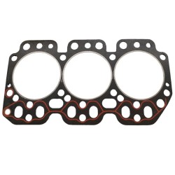 DZ111638 Guarnizione Testata Ø 119mm  John Deere Originale