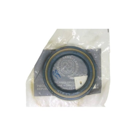 2.1510.329.0 Anello Tenuta 80X55X10 per Same Lamborghini Hurlimann Originale