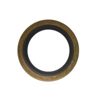 2.1520.026.0 Anello Tenuta 100X70X13 per Same Lamborghini Hurlimann Originale