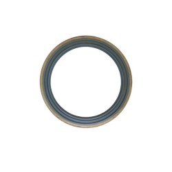 2.1529.013.0 - Anello Tenuta 100x125x13 | Non Originale