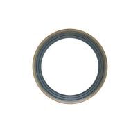 2.1529.013.0 Anello Tenuta 100x125x13 per Same Lamborghini Hurlimann Non Originale