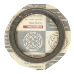 2.1529.118.0 - Anello Tenuta 80x100x18 | Originale