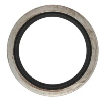 2.1529.511.0 - Anello Tenuta 82x105x12 | Originale