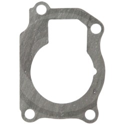 703816R4 Water Pump Gasket for Case IH