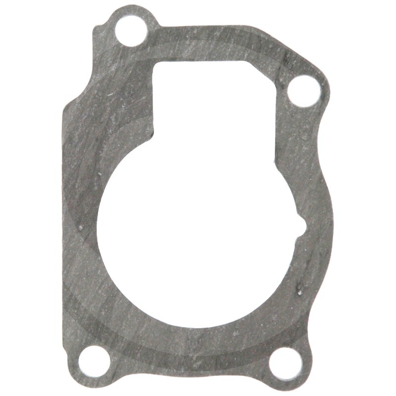 703816R4 Water Pump Gasket for Case IH