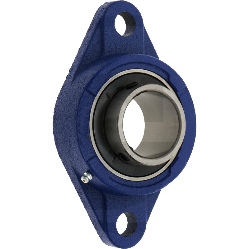 UCFL211 Supporto Cuscinetto 2 Fori Flangiato in Ghisa Ø 55mm UCFL211 Supporto Cuscinetto 2 Fori Flangiato in Ghisa Ø 55mm