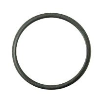 455025 Anello O-Ring per Pompa Acqua Trattori Case IH