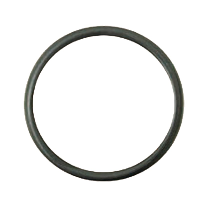 455025 Case IH Tractor Water Pump O-Ring
