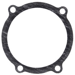 311782A1 Guarnizione per Pompa Acqua Trattori Case IH - McCormick Pompa Acqua per Trattori Case IH con Guarnizione
