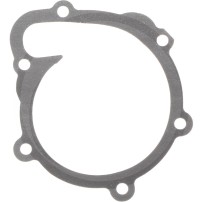 04202975 Water Pump Gasket Deutz Tractors