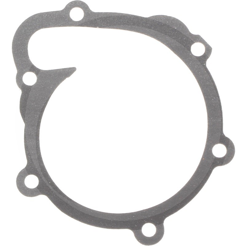 04202975 Water Pump Gasket Deutz Tractors