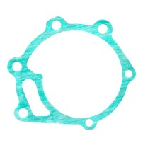 0.009.4636.1 Water Pump Gasket for SDF Same Lamborghini Deutz-Farh Tractors
