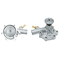 0.009.4789.4 Pompa Acqua per Trattori SDF Same Lamborghini Deutz-Farh
