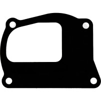 98400776 Water Pump Gasket for Fiat Agri Tractors
