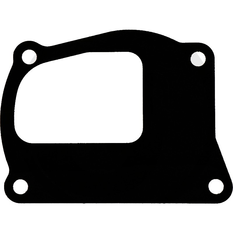 98400776 Water Pump Gasket for Fiat Agri Tractors