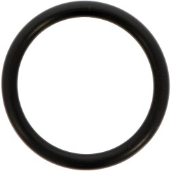 O-Ring For Comet Pump 1210 0002
