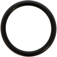 Anello O-Ring Per Pompa Comet 1210 0002