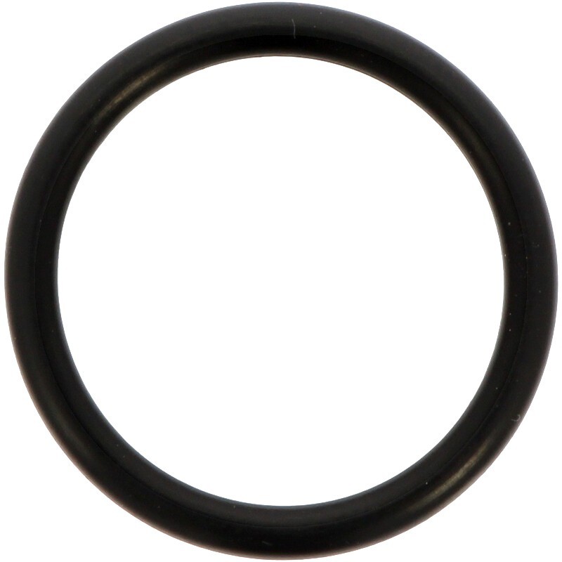 O-Ring For Comet Pump 1210 0443 O-Ring For Comet Pump 1210 0443