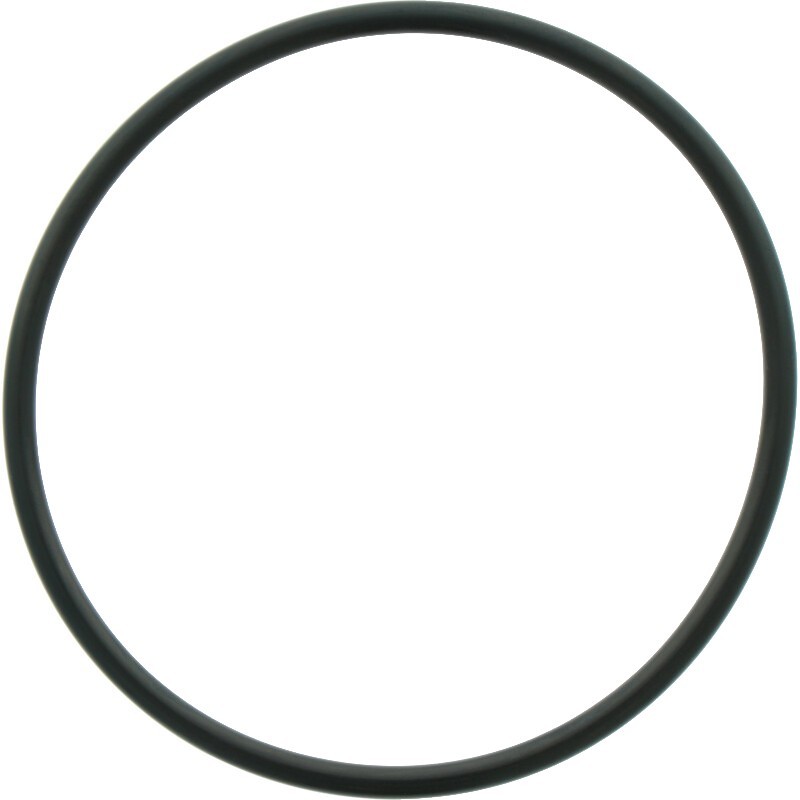 O-Ring For Comet Pump 1210 0373 O-Ring For Comet Pump 1210 0373