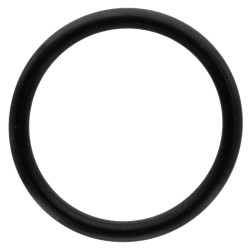 O-Ring For Comet Pump 1210 0033