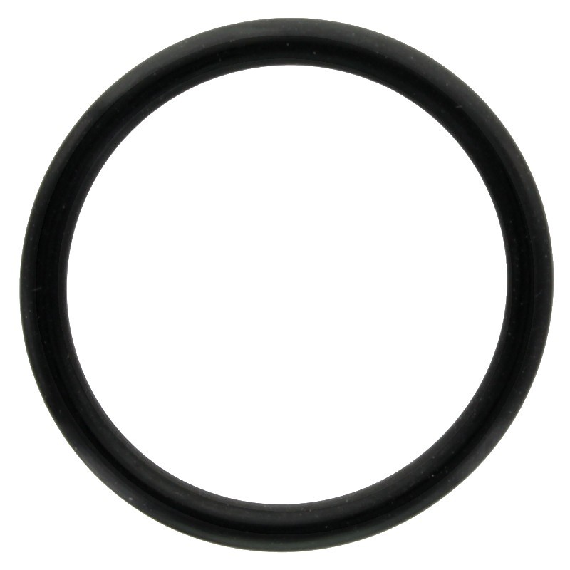 O-Ring For Comet Pump 1210 0033 O-Ring For Comet Pump 1210 0033