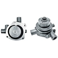41312063 Water Pump for Landini Perkins with Pulley and Gasket
