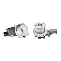 41313201 Water Pump for Landini Perkins with Pulley and Seal