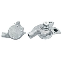 4222028M91 Water Pump for Landini Perkins with Gasket