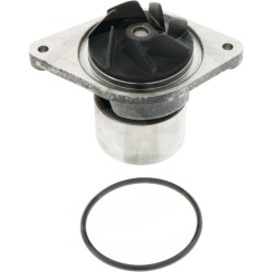 710239A2 Water Pump for Landini New Holland with Gasket