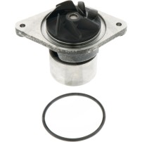 710239A2 Water Pump for Landini New Holland with Gasket