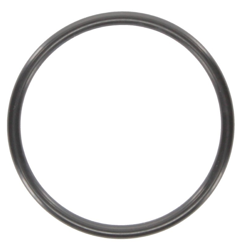 14465680 Anello O-Ring per Trattori CNH Fiat Agri New Holland 14465680 Anello O-Ring per Trattori CNH Fiat Agri New Holland