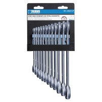 Serie Chiavi Combinate a Cricchetto dalla 8 alla 19mm 12 pezzi FERVI