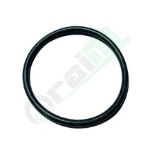 Anello O-Ring Originale BCS 38115556 | Raim Store