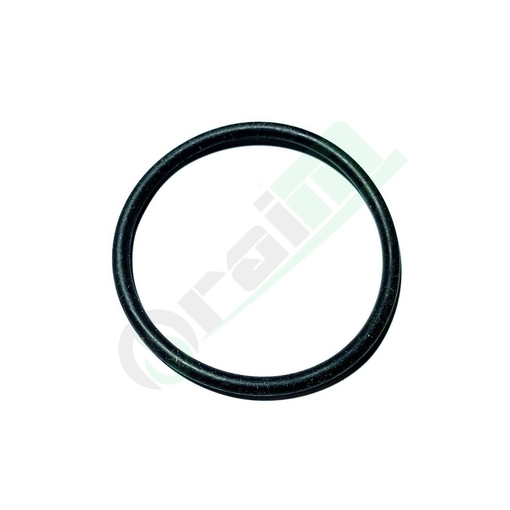 Anello O-Ring Originale BCS 38115556 | Raim Store
