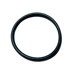 Anello O-Ring Originale BCS 38110766