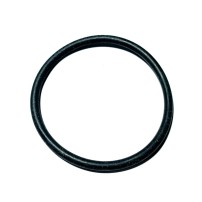Anello O-Ring Originale BCS 38110766