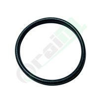 Genuine BCS 38110766 O-Ring Seal | Raim Store